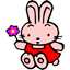 生肖徽章2007版:兔
日期:2009-01-10 09:52:32