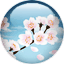 季节之章：冬
日期:2009-08-03 09:58:34